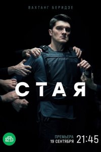 Стая